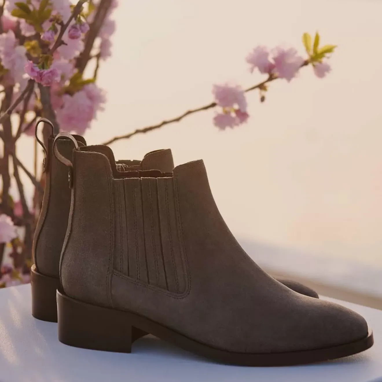 Boots-Aquatalia Carmie Anthracite