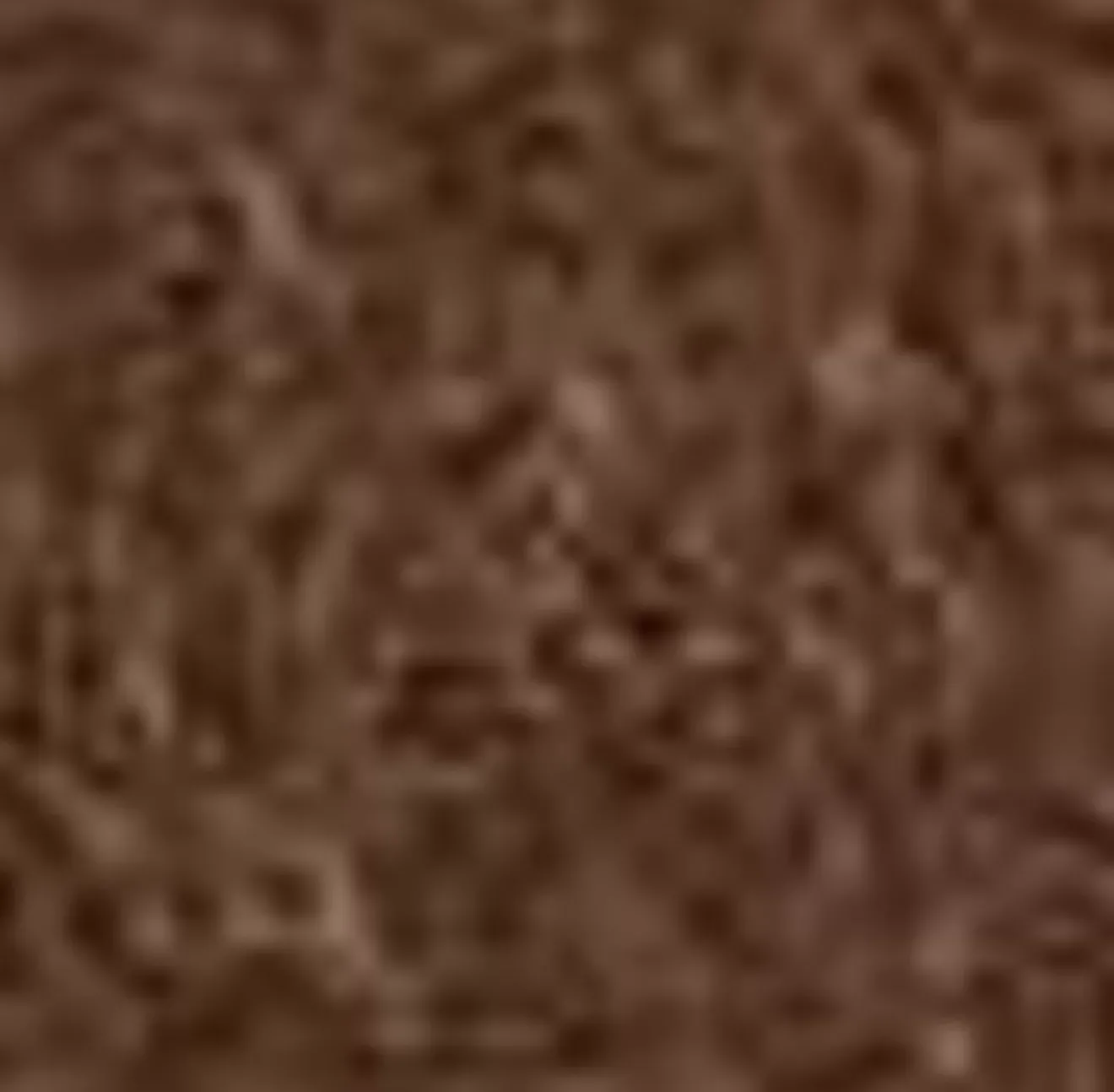 Boots-Aquatalia Maddie Taupe