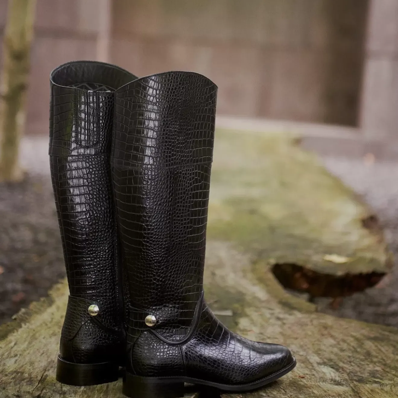 Boots-Aquatalia Nerina Black