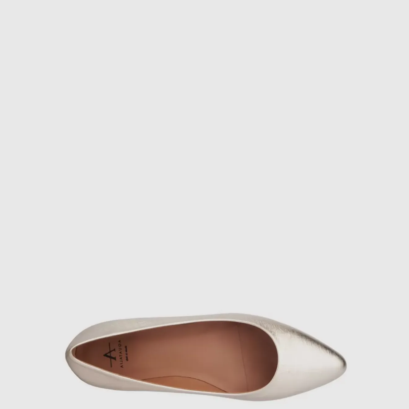 Flats-Aquatalia Penina Platino